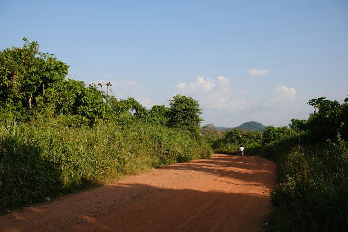 Piste de terre bordée de végétation dense dans la région Ashanti, au Ghana